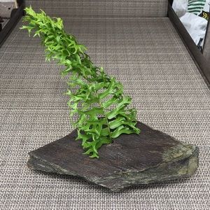 Slate rock water vase